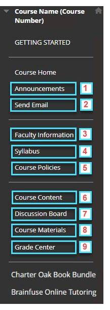 Current Blackboard course menu as of 1/8/2025.